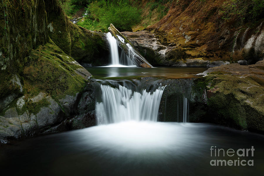 Waterfall Photograph - Flow by Masako Metz