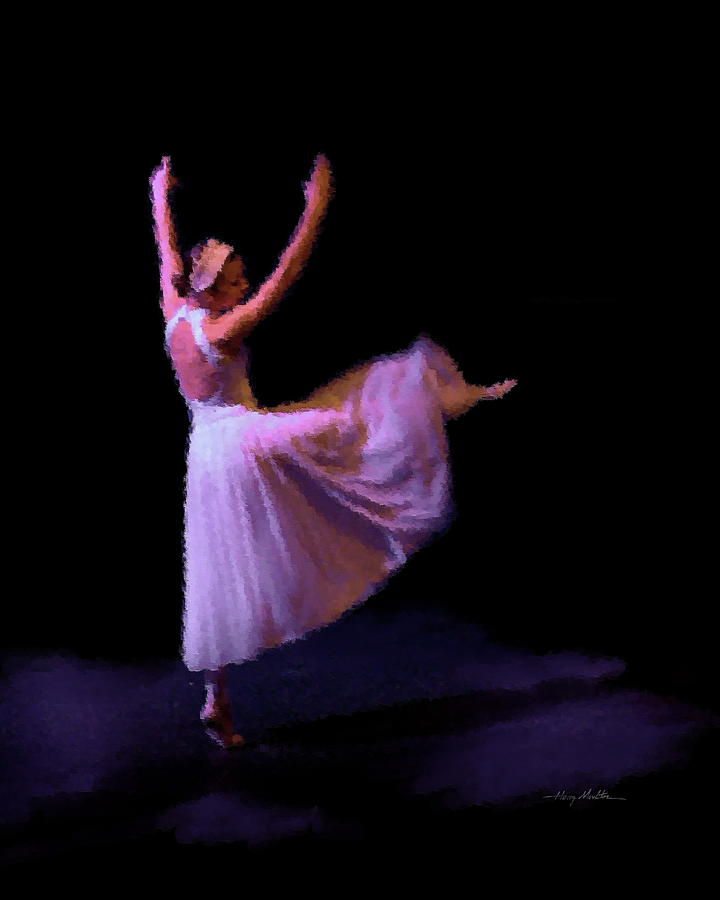 Flow of Dance Photograph by Harry Moulton