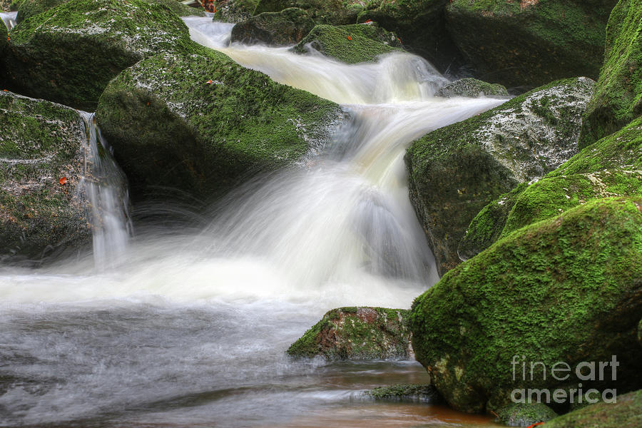 Flow of water through boulders covered with moss Photograph by Michal Boubin