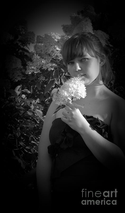 Flowers Still Life Photograph - Flower 2 by Tara Lynn