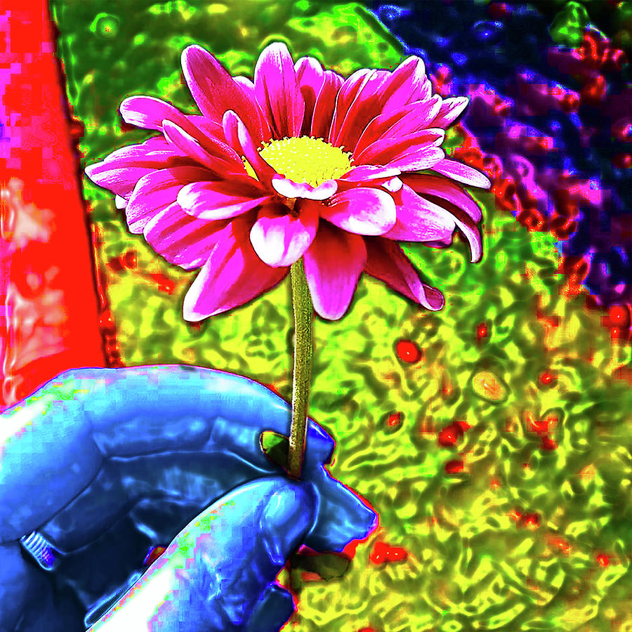Flower 3 Digital Art by Meghan Elizabeth