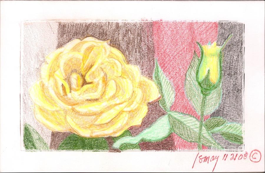 Flower Drawing - Flower 4 - Yellow Rose and Bud by Rod Ismay