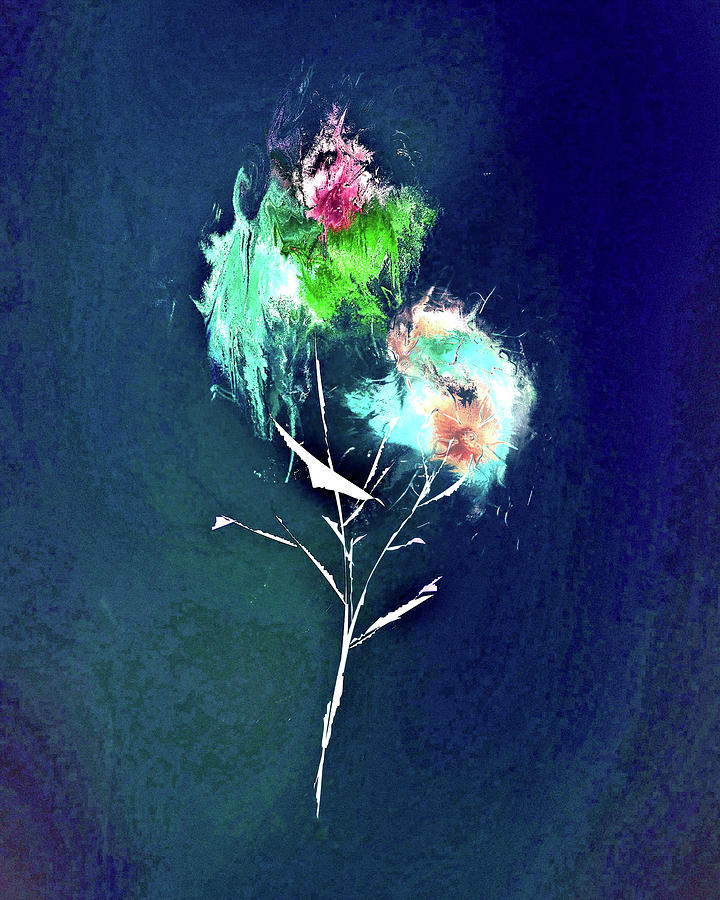 Flower 6 Digital Art