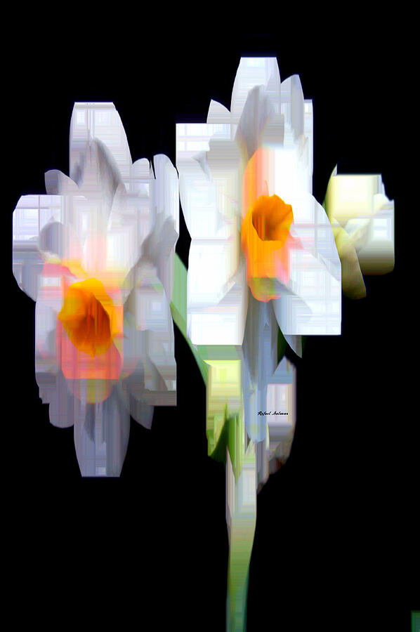 Flower 9208 Digital Art by Rafael Salazar