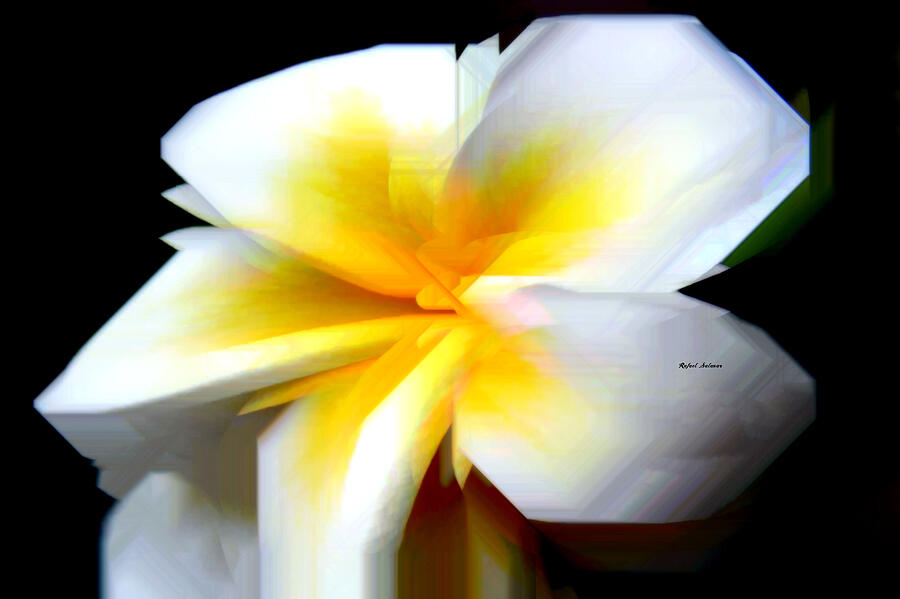 Flower 9210 Digital Art by Rafael Salazar