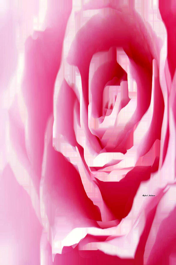 Flower 9216 Digital Art by Rafael Salazar