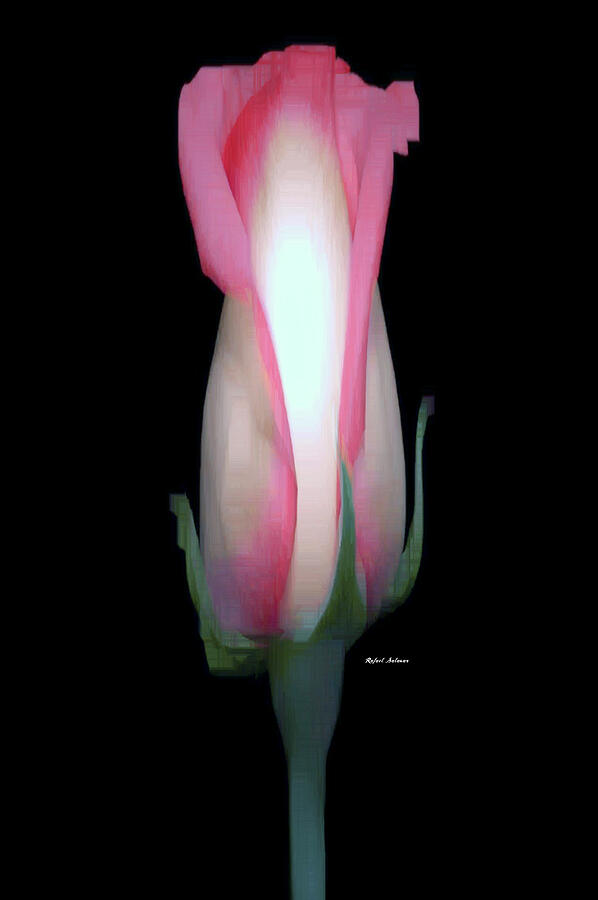 Flower 9245 Digital Art by Rafael Salazar