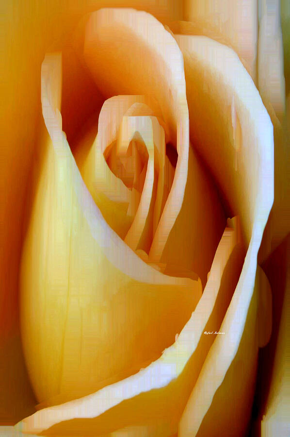 Flower 9254 Digital Art by Rafael Salazar