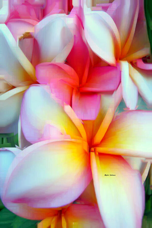 Flower 9259 Digital Art by Rafael Salazar