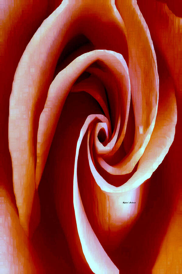 Flower 9268 Digital Art by Rafael Salazar