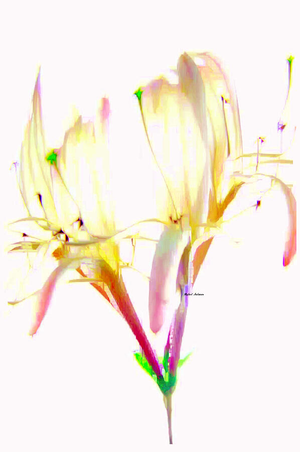 Flower 9315 Digital Art by Rafael Salazar
