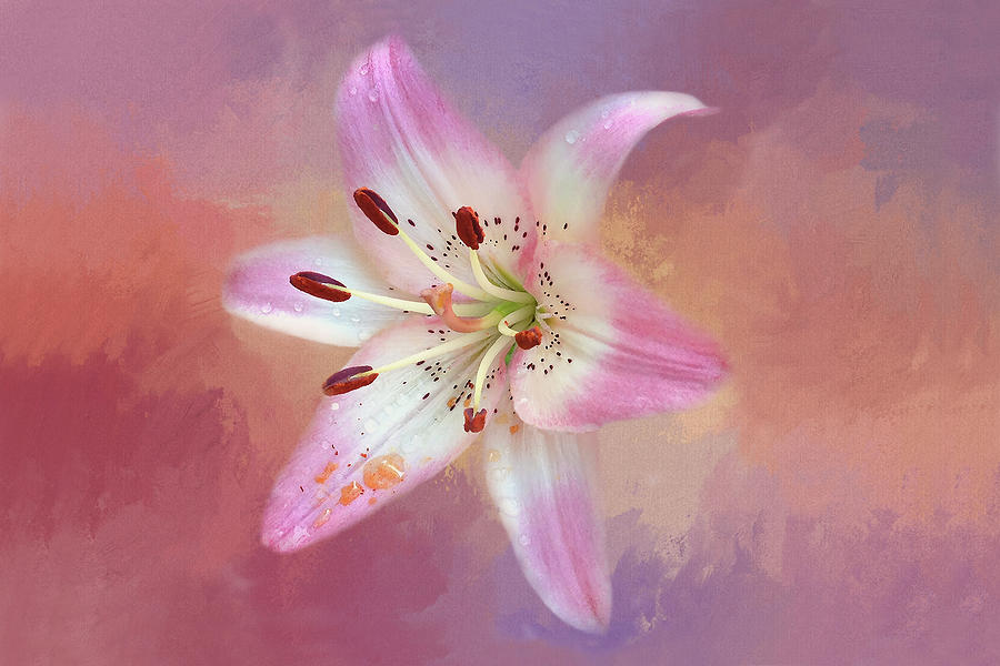 Pink and Purple Lily Mixed Media by Billy Grimes