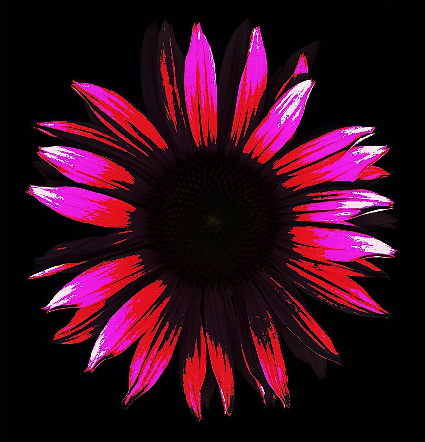 Flower A Go-Go Digital Art by Deborah J Humphries