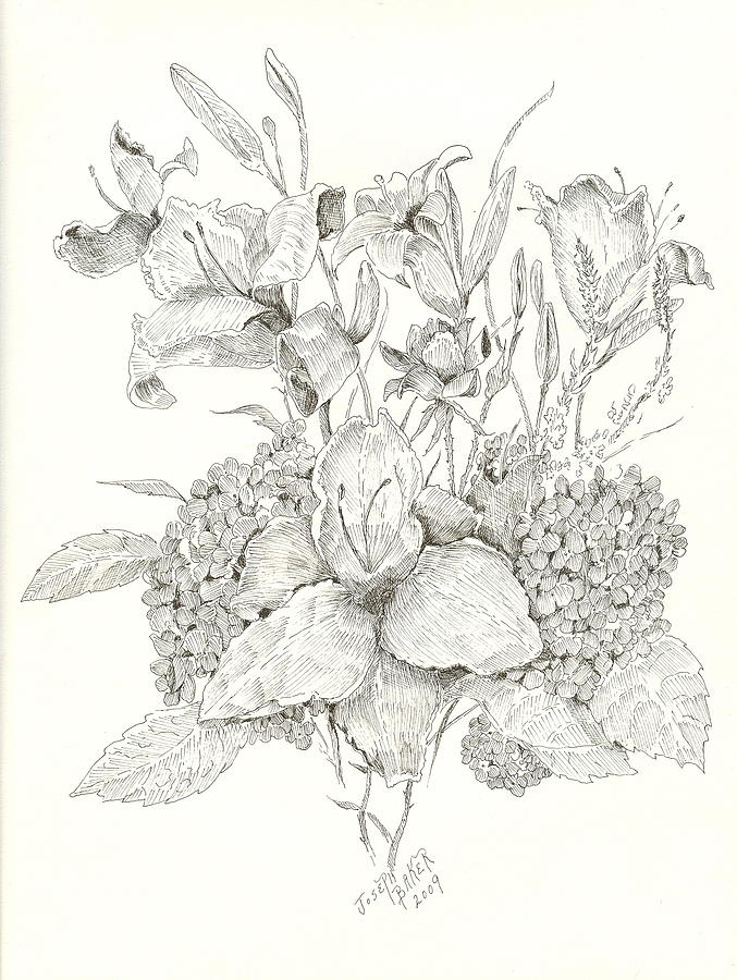 Flower Arrangement At Bert Ferguson Drawing By Joseph Baker