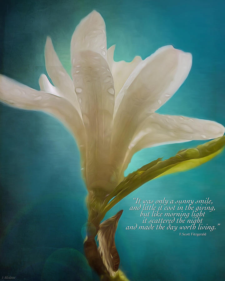 Magnolia Movie Painting - Flower Art - Like Morning Light by Jordan Blackstone