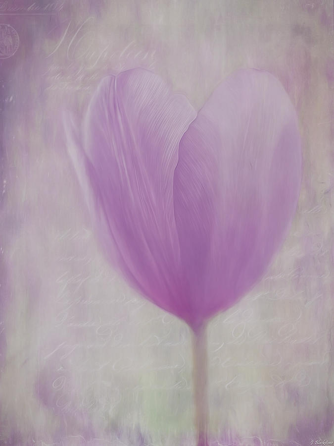 Flower Art - Love Is The Flower Painting by Jordan Blackstone