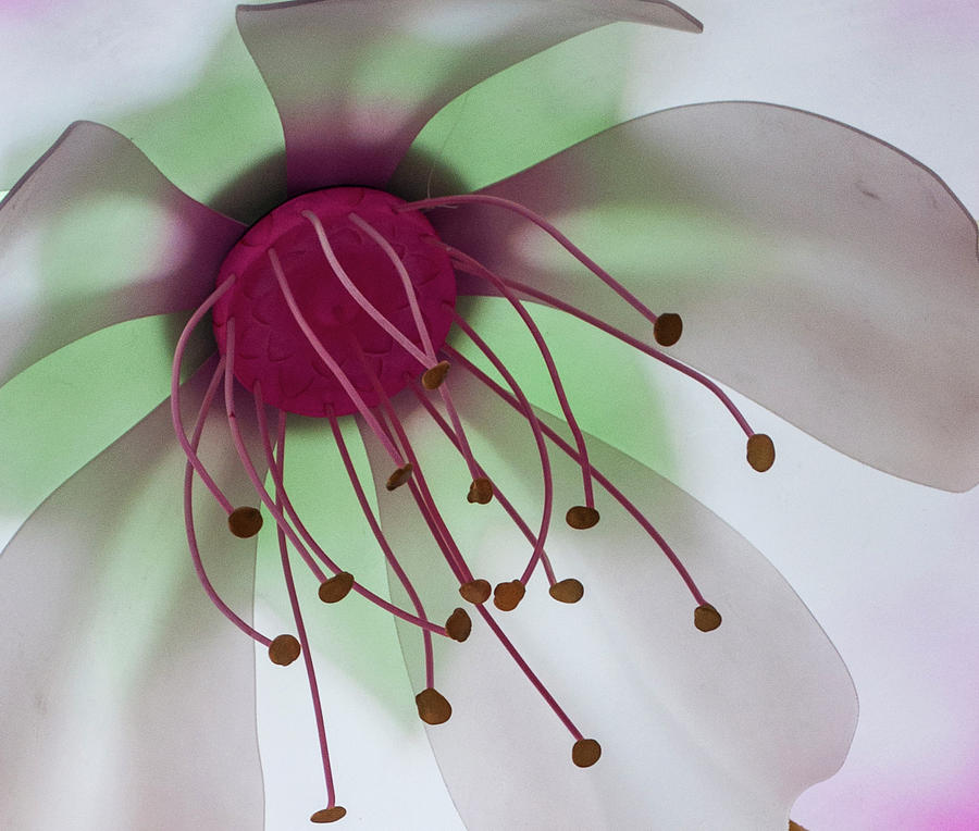 Flower Art Photograph by Stewart Helberg