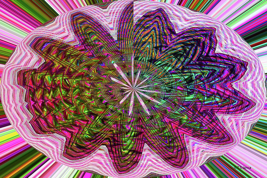 Flower At Olympia Abstract #2 Digital Art by Tom Janca