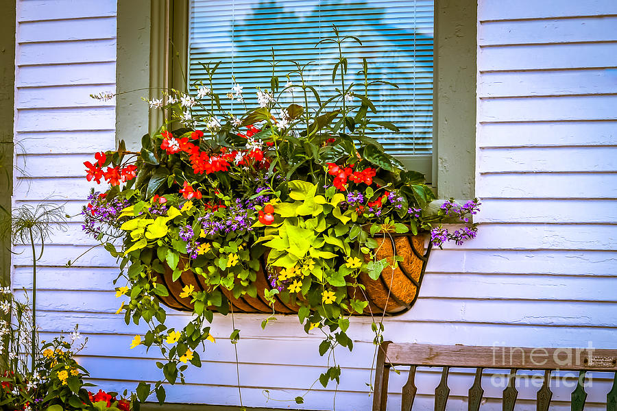 Flower basket Photograph by Claudia M Photography