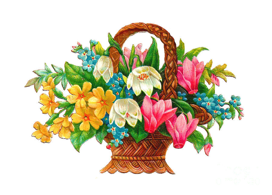 Flower Basket Painting by Vintage Collectables