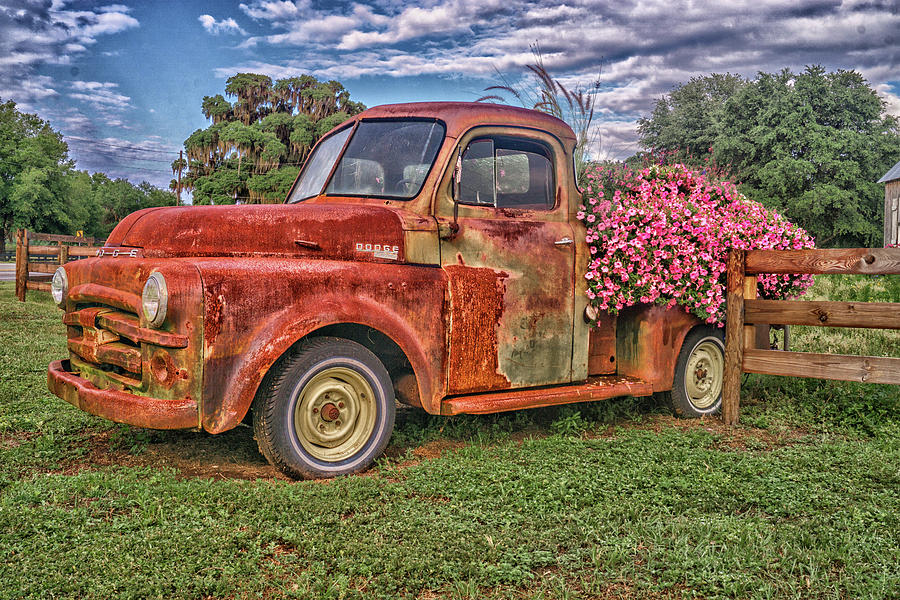 Dodge Flower Bed Photograph by Dennis Dugan