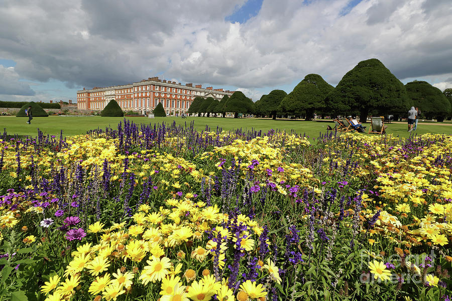 Flower bed Hampton Court Palace Photograph by Julia Gavin
