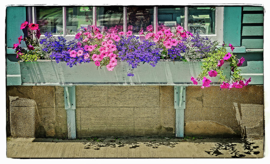Flower Bed Photograph by Jerry Golab