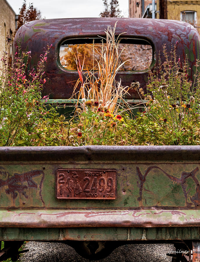 Flower Bed - Nature and Machine Photograph by Steven Milner