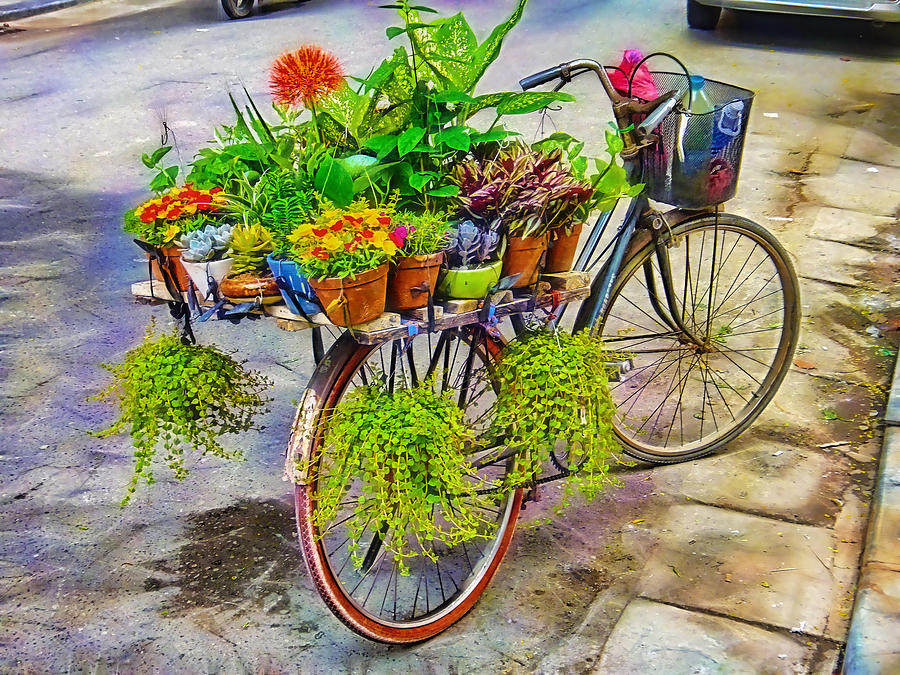 Flower Bike Collection Mixed Media by Marvin Blaine