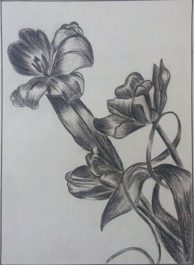 Flower Bouquet-Black and White Drawing by Jowin Winson A - Fine Art America