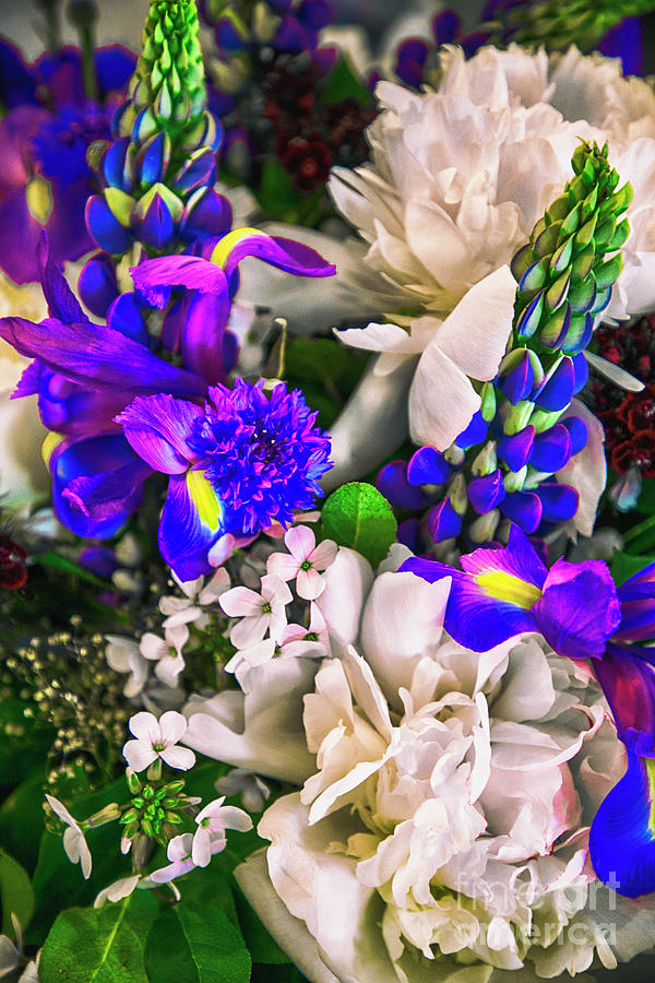 Flower Bouquet For You Photograph