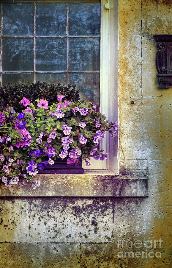Flower Box Photograph by Jill Battaglia