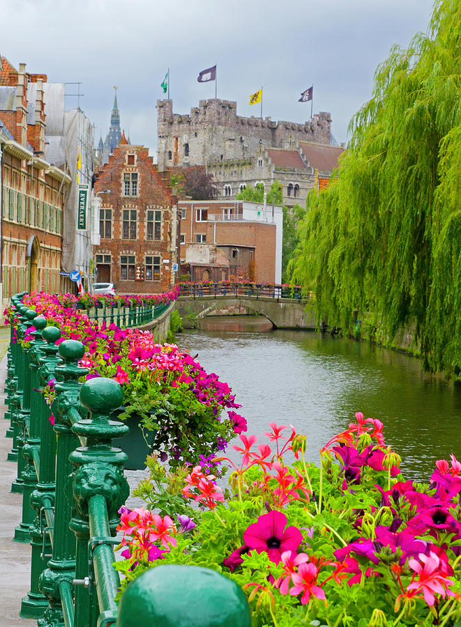 Flower boxes along the canal Photograph by David Freuthal