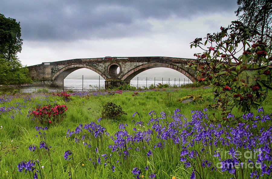 Flower Bridge Photograph by Ryan Ware Fine Art America