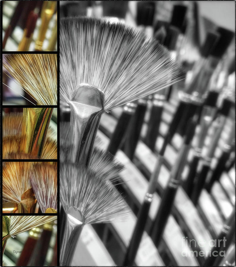Paintbrushes Photograph - Flower Brushes by Steven Digman Paintbrushes Photograph - Flower Brushes by Steven Digman