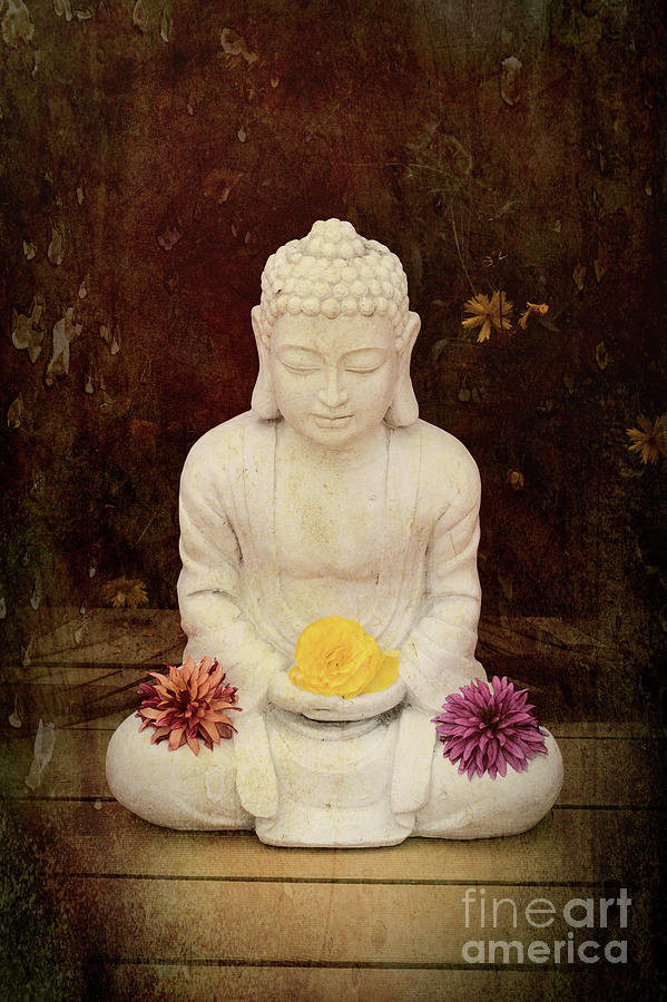 Flower Buddha Photograph by Tim Gainey