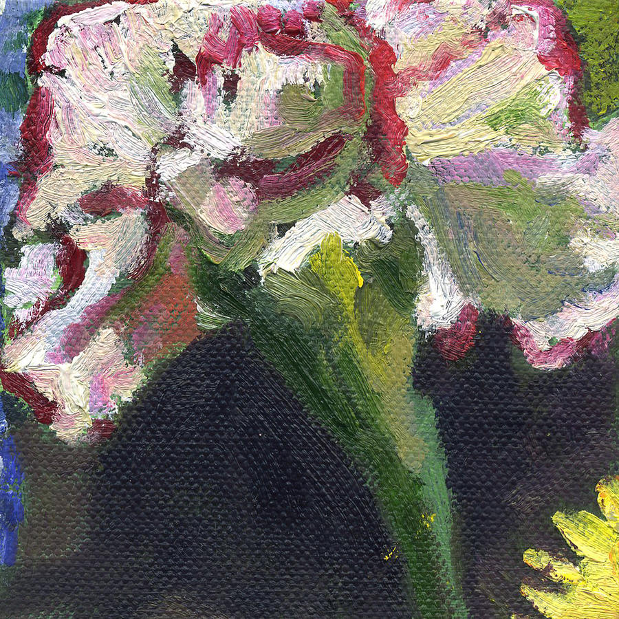 Flower Carnation Painting by Kathleen Barnes