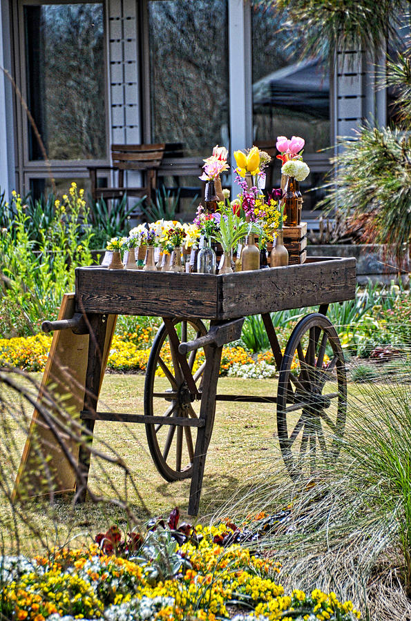 Flower Cart Photograph by Linda Brown