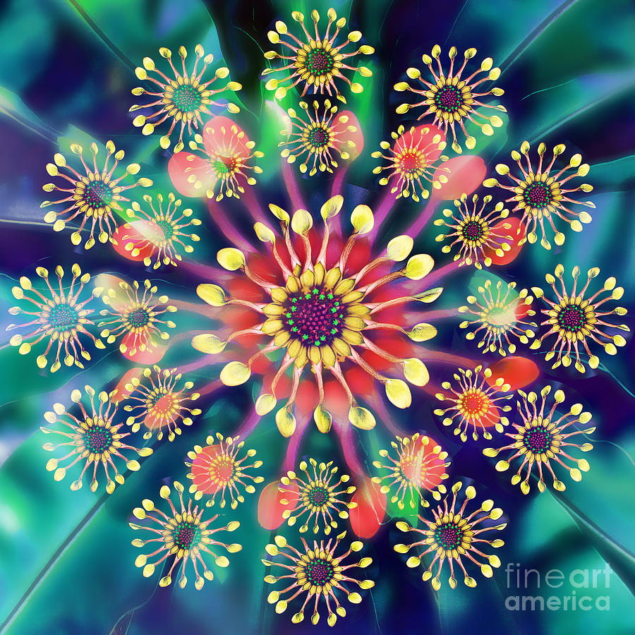 Flower Clock Digital Art by Klara Acel