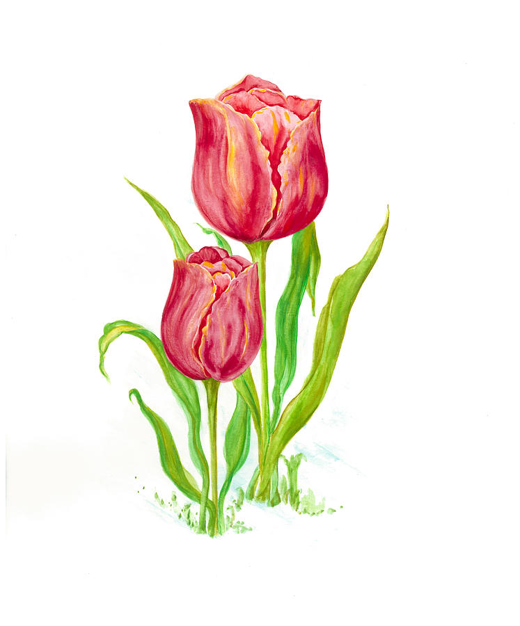 Tulip Painting - Flower collection2 by Ila Patel
