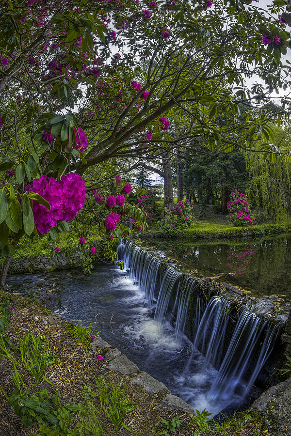 Flower Creek Photograph by Ian Mitchell