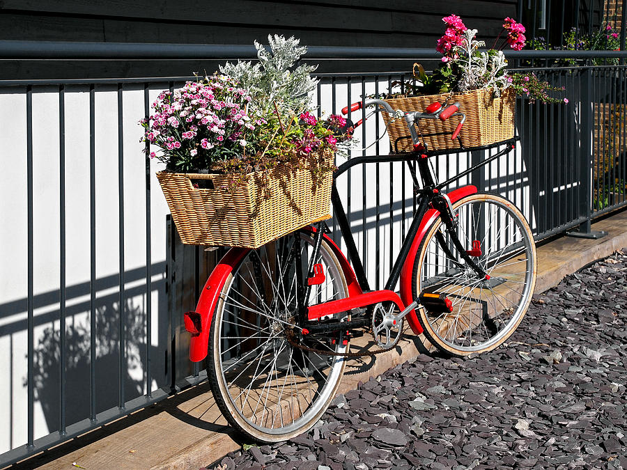 Flower Delivery Bicycle Photograph by Gill Billington