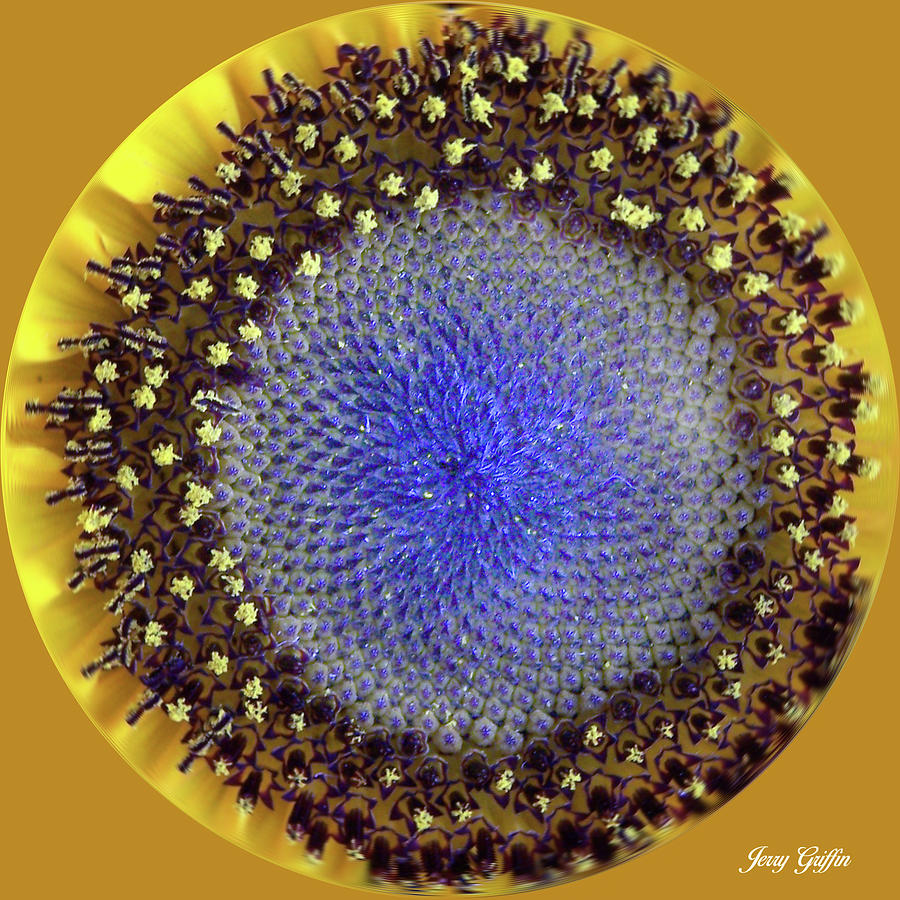 Flower Detail Digital Art by Jerry Griffin
