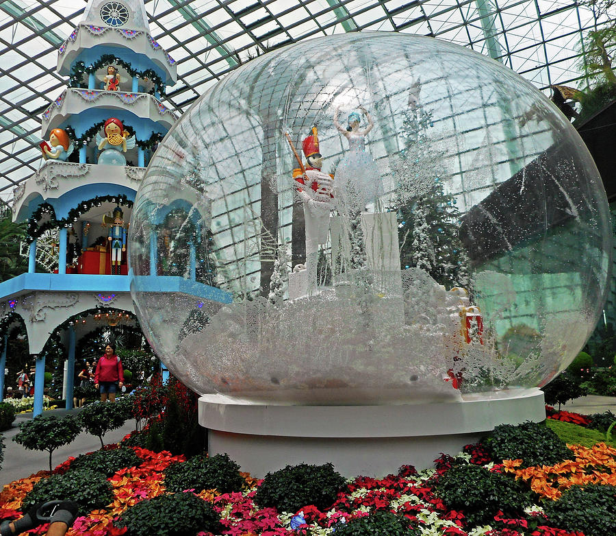 Flower Dome 20 Photograph by Ron Kandt