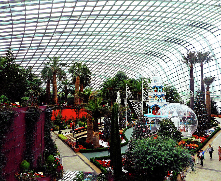 Flower Dome 3 Photograph by Ron Kandt