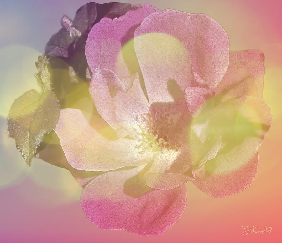 Flower Dream Digital Art by Theresa Campbell