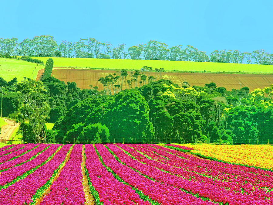 Flower Farm and Hills Mixed Media by Dominic Piperata