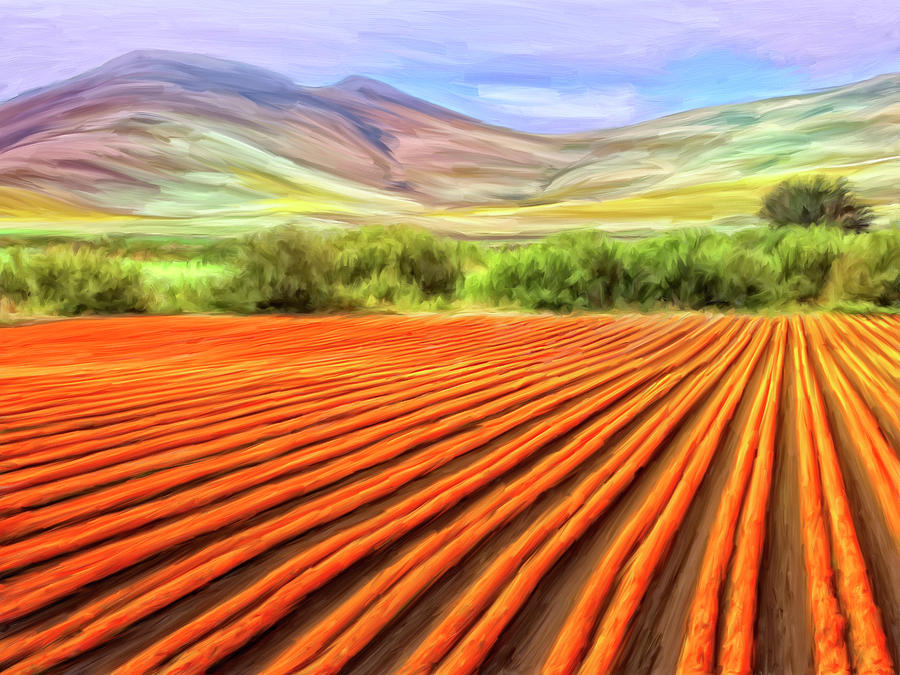 Flower Field Near Los Osos Painting by Dominic Piperata