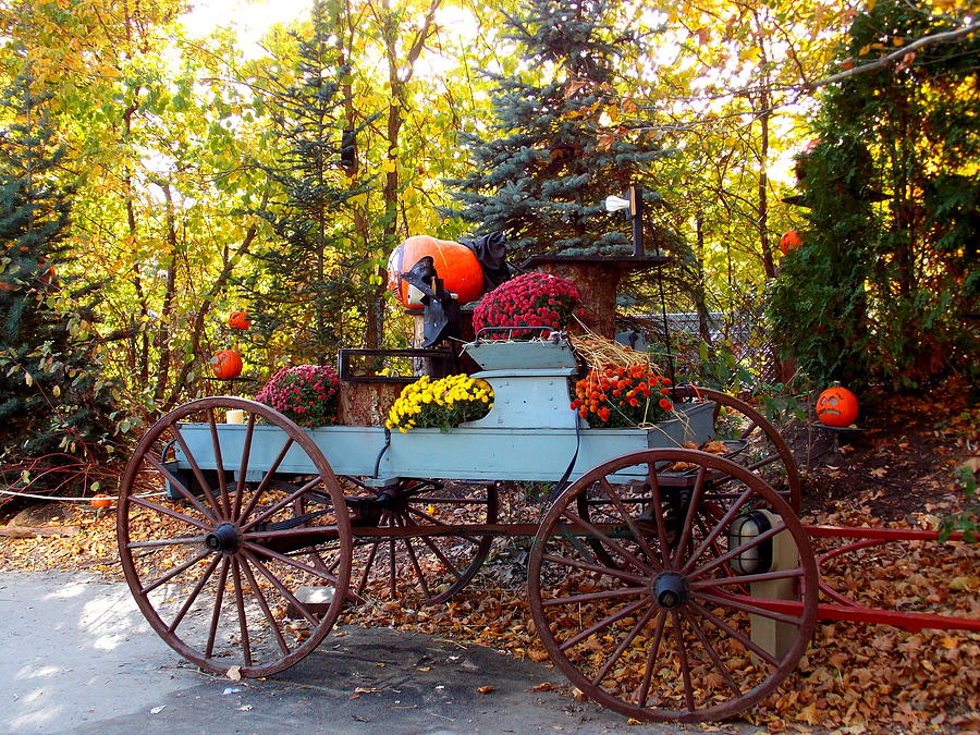 Flower Filled Wagon Photograph by Catherine Gagne