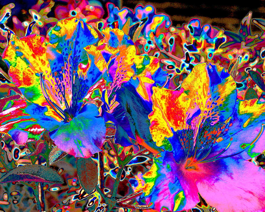 Flower Fireworks Digital Art by Larry Beat